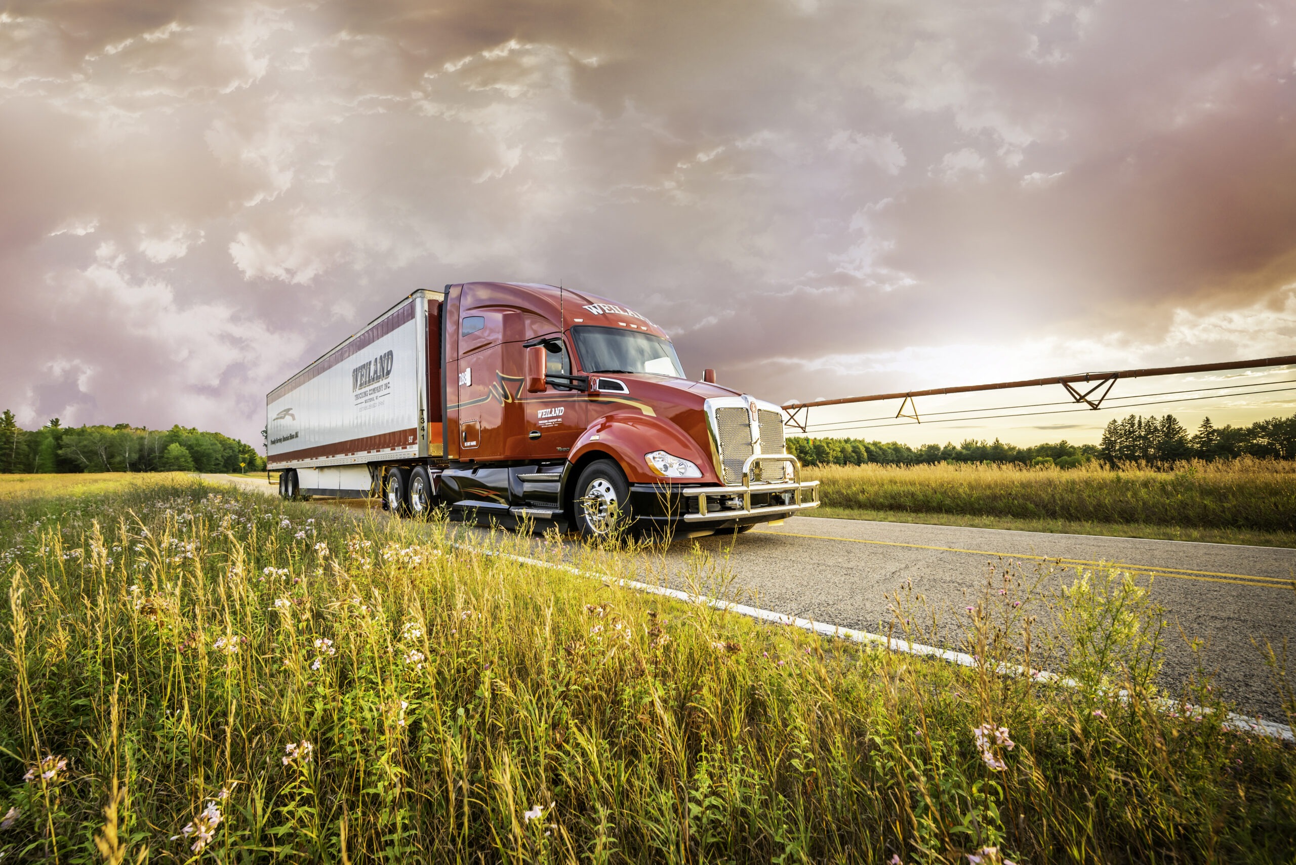 Red Weiland semi-truck on rural highway with dramatic pink sunset sky and wildflower meadow